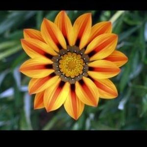 Meet your Posher, Chen